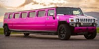 View Pink Stretch Limo Details